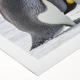 Rolled canvas showcasing a vibrant penguin design from the Wild Life collection, featuring colorful illustrations on a textured surface, ideal for animal lovers' decor.