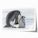 Artistic wall print featuring a playful penguin design on a vibrant blue background, ideal for adding a whimsical touch to home decor. Perfect for animal lovers, this rolled print adds personality to any space.