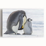 Stretched canvas wall art featuring a vibrant penguin design against a blue background, ideal for animal lovers and modern home decor enthusiasts. This colorful piece adds a playful touch to any room.