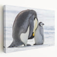 Stretched canvas wall art featuring a side view of a playful penguin design, showcasing vibrant colors and detailed textures, perfect for animal-themed decor.
