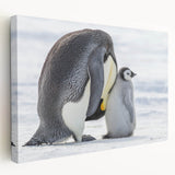 Stretched canvas wall art featuring a side view of a playful penguin design, showcasing vibrant colors and detailed textures, perfect for animal-themed decor.