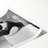 Vibrant rolled wall art print of a penguin design, showcasing detailed illustrations in a playful, colorful style, perfect for animal lovers and home decor.