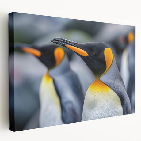 Stretched canvas wall art showcasing a vibrant penguin design, featuring bold colors and intricate details, ideal for adding a playful touch to any room decor.