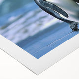 Colorful rolled canvas wall art featuring a whimsical penguin design, ideal for children's rooms or playful decor. The print showcases vibrant colors and charming details, enhancing any space's aesthetic appeal.