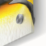 Close-up of a striking acrylic glass wall art piece depicting a colorful penguin design from the 'Animals: A Wild Life' collection, showcasing vibrant hues and intricate details, perfect for animal lovers and modern decor enthusiasts.
