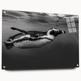 Acrylic glass wall art featuring a side view of a penguin design from the "Animals A Wild Life" collection, showcasing vibrant colors and intricate details ideal for home decor.