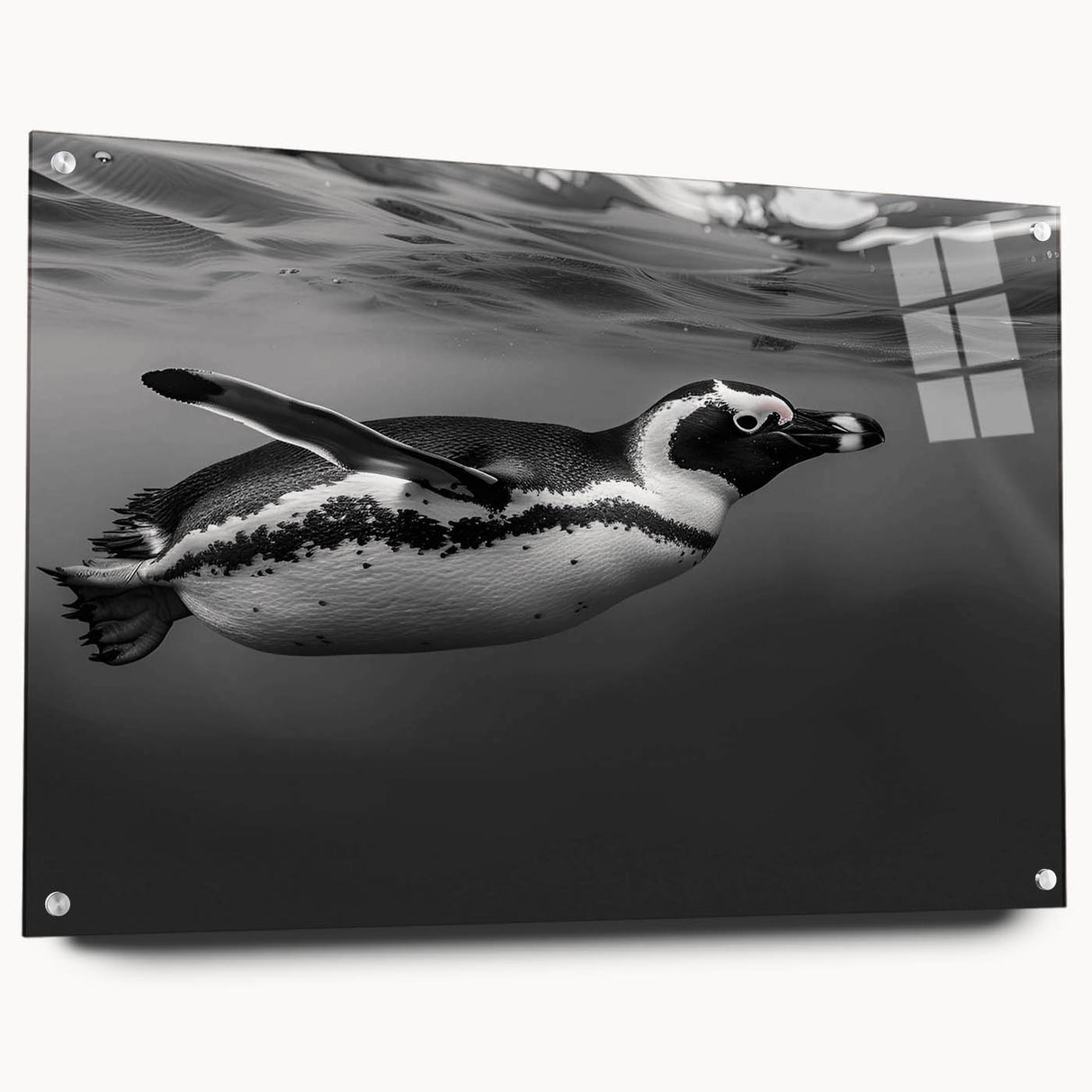 Acrylic glass wall art featuring a side view of a penguin design from the "Animals A Wild Life" collection, showcasing vibrant colors and intricate details ideal for home decor.