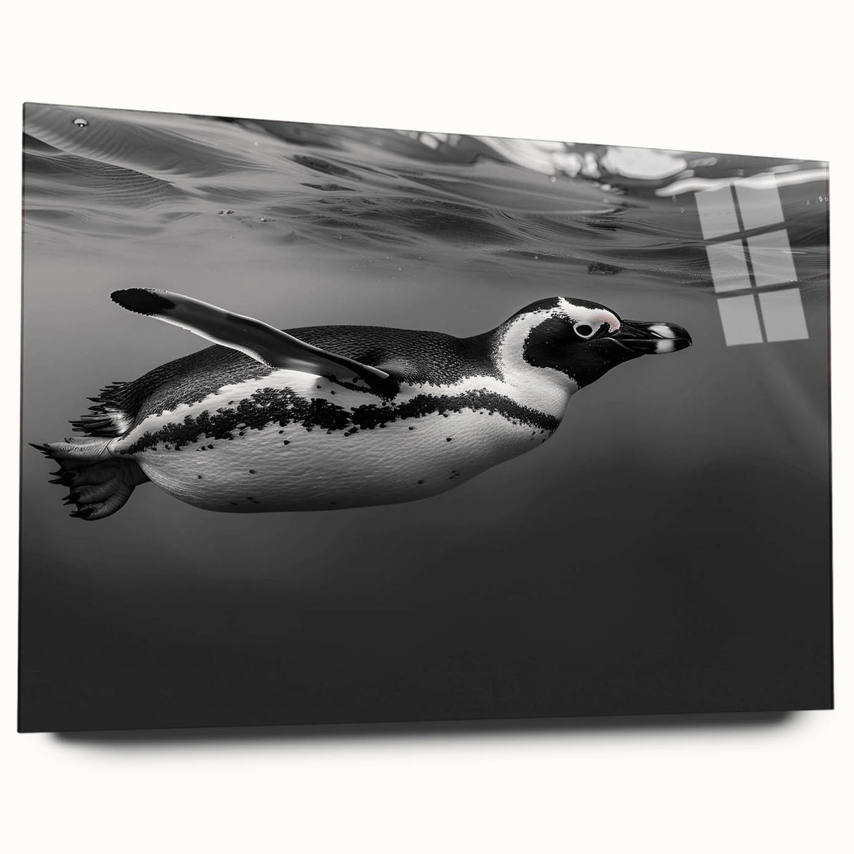 Acrylic glass wall art showcasing a side view of a modern penguin design, featuring vibrant colors and sleek lines, perfect for animal-themed home decor.