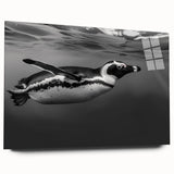 Acrylic glass wall art showcasing a side view of a modern penguin design, featuring vibrant colors and sleek lines, perfect for animal-themed home decor.