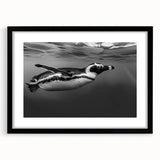 Framed wall art featuring a striking black and white penguin design, set against a textured background, perfect for modern home decor. The black frame enhances the artwork’s elegance, making it an ideal piece for animal lovers and contemporary interiors.