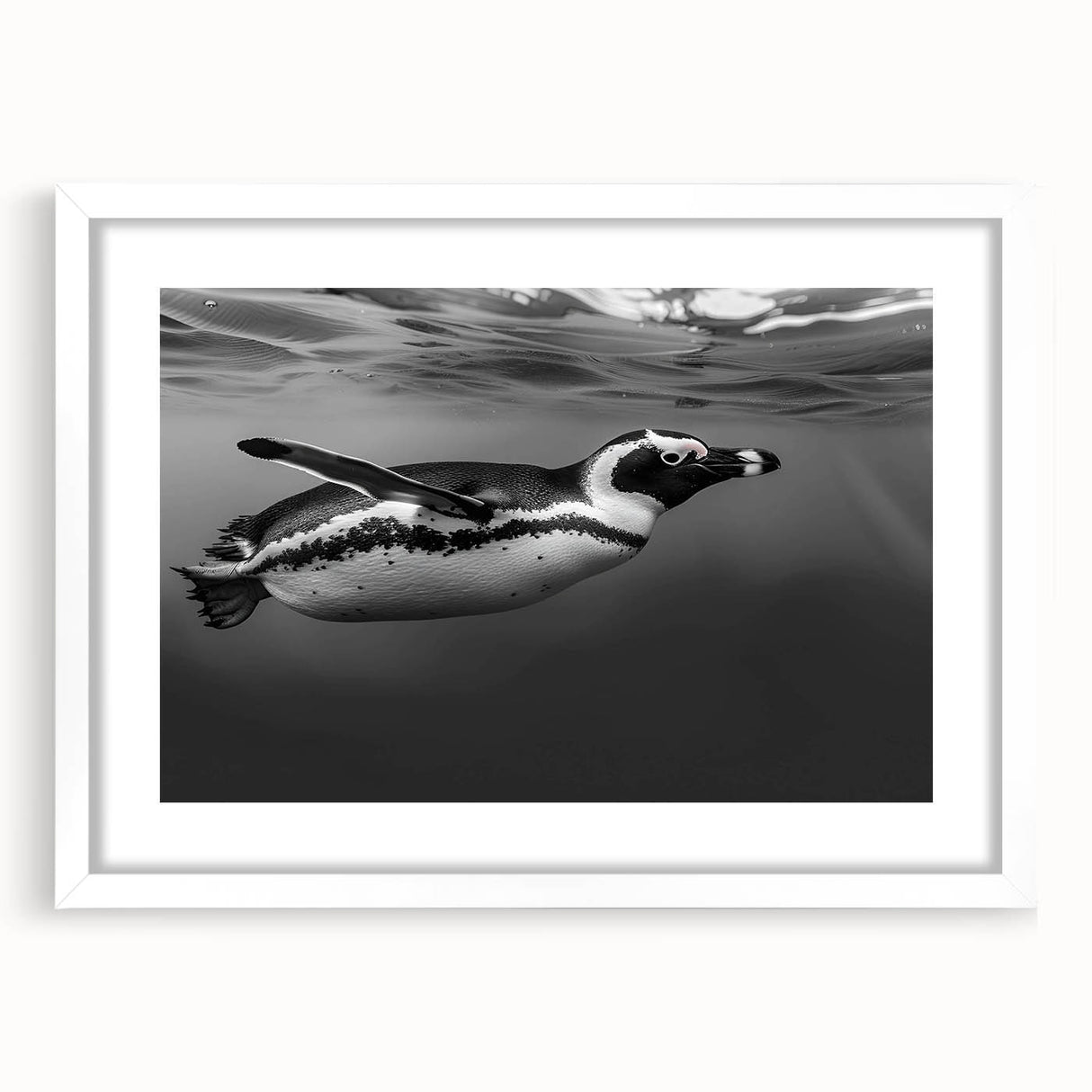 Framed wall art featuring a stylish penguin design from the 'Animals A Wild Life' collection, with a white mat and a sleek frame, ideal for modern decor.