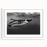 Framed wall art featuring a stylish penguin design from the 'Animals A Wild Life' collection, with a white mat and a sleek frame, ideal for modern decor.