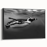 Framed canvas wall art showcasing a side view of a whimsical penguin design, featuring vibrant colors on a black background, perfect for animal lovers and home decor enthusiasts.