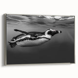 Framed wall art showcasing a silver-colored side view of a penguin design, perfect for animal lovers and home décor enthusiasts. Ideal for adding a touch of wildlife elegance to any room.