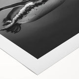 Rolled canvas wall art showcasing a vibrant penguin design, perfect for animal lovers, featuring bold colors and playful details, ideal for home decor.