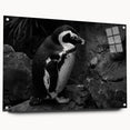 Side view of a penguin-themed wall art piece designed with acrylic glass, featuring vibrant colors and sleek pins for easy hanging, perfect for animal lovers' decor.