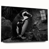 Close-up of a sleek acrylic glass wall art piece showcasing a vibrant penguin design, ideal for wildlife enthusiasts and modern home decor. The artwork features rich colors and intricate details, enhancing any living space with its playful and artistic representation of nature.