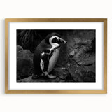 Framed penguin-themed wall art from the "Animals of the Wild" collection, featuring a gold mat and elegant design, perfect for animal lovers' home decor.