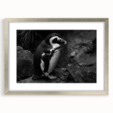 Framed wall art featuring a whimsical penguin design from the "Animals of the Wild" collection, showcasing a silver mat and elegant frame, perfect for animal lovers.