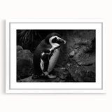 Framed wall art showcasing a minimalist penguin design in a white mat, perfect for enhancing modern decor. Ideal for animal lovers and art enthusiasts alike.