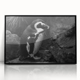Framed acrylic wall art featuring a captivating penguin design, showcasing vibrant colors and intricate details, ideal for enhancing modern decor in any space.