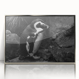 Framed acrylic wall art displaying a vibrant penguin design, showcasing intricate details and a sleek silver frame, perfect for animal lovers and modern decor.