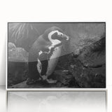 Framed acrylic wall art featuring a whimsical penguin design from the Animals A Wild Life collection, showcasing a bright white frame and vibrant colors, ideal for children's spaces.