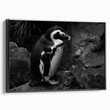 Framed canvas wall art featuring a unique penguin design from the "Animals of the Wild" collection, showcasing vibrant colors and intricate details set against a black background, perfect for animal lovers and modern decor enthusiasts.