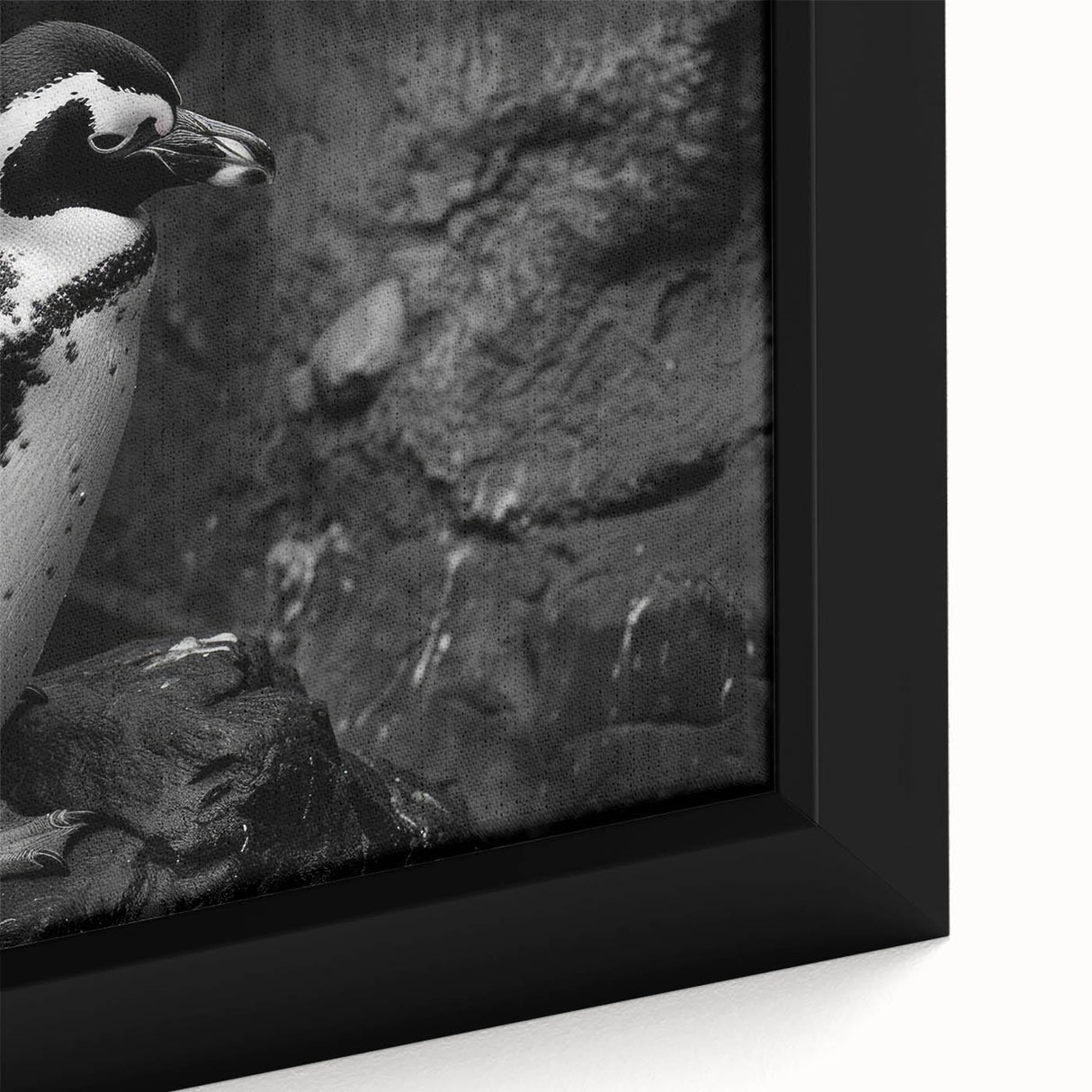 Close-up of a framed canvas wall art featuring a vibrant penguin design from the 'Animals: A Wild Life' collection, showcasing intricate details and colors ideal for nature lovers.
