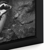 Close-up of a framed canvas wall art featuring a vibrant penguin design from the 'Animals: A Wild Life' collection, showcasing intricate details and colors ideal for nature lovers.