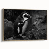 Framed wall art featuring a side view of a striking penguin design, showcasing vibrant colors and textures, perfect for animal lovers and modern decor.