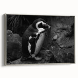 Framed wall art featuring a silver side view of a penguin design, showcasing intricate details and textures ideal for wildlife enthusiasts and modern decor.