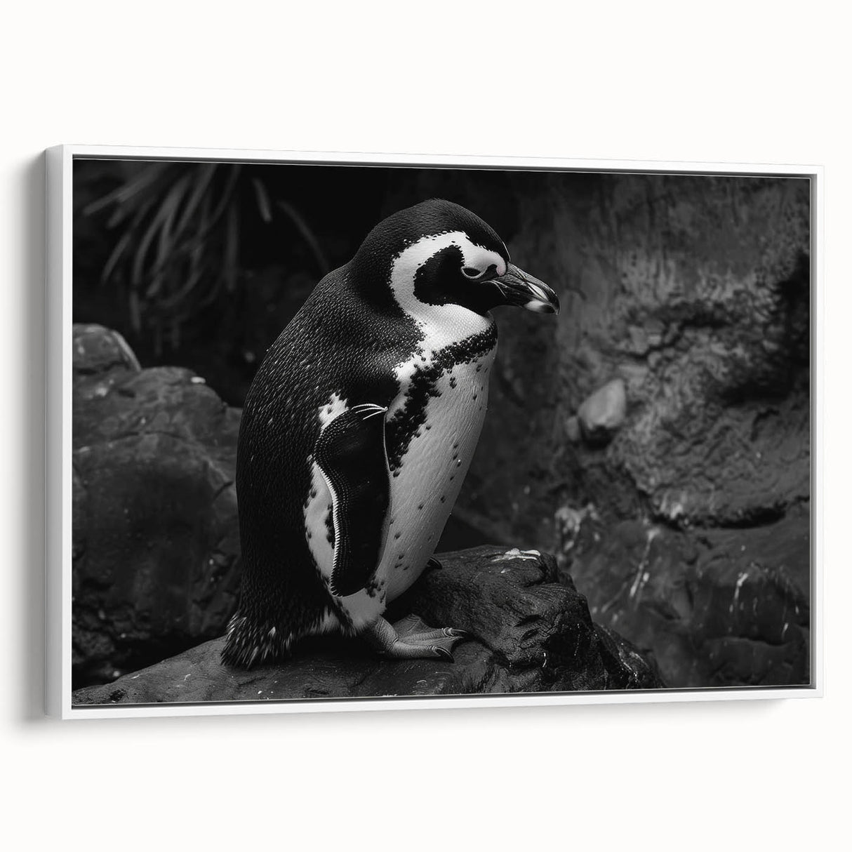 Framed canvas wall art featuring a charming penguin design, set against a white background, showcasing vibrant colors and intricate details in a stylish home decor setting. Perfect for animal lovers and modern interiors.
