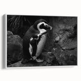 Framed canvas wall art featuring a charming penguin design, set against a white background, showcasing vibrant colors and intricate details in a stylish home decor setting. Perfect for animal lovers and modern interiors.