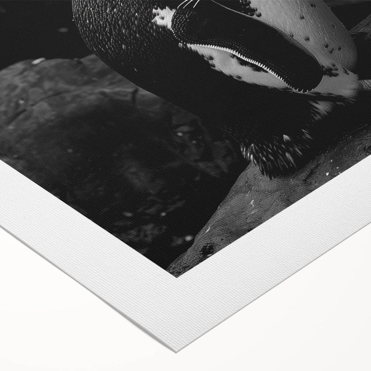 Rolled canvas showcasing a vibrant penguin design from the 'Animals of the Wild' collection, featuring intricate details and bold colors, perfect for wildlife enthusiasts.