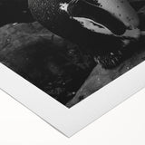 Rolled canvas showcasing a vibrant penguin design from the 'Animals of the Wild' collection, featuring intricate details and bold colors, perfect for wildlife enthusiasts.