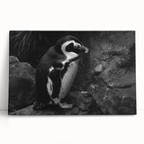 Stretched canvas wall art featuring a charming penguin design, showcasing vibrant colors and whimsical details, perfect for animal lovers and home decor enthusiasts.