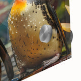 Close-up of a vibrant acrylic glass wall art piece featuring a penguin design, showcasing intricate details and colors, perfect for animal lovers and modern decor.