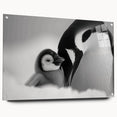 Acrylic glass wall art featuring a side view of a playful penguin design, showcasing vibrant colors and intricate details, ideal for animal lovers and modern decor.