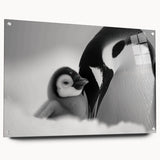 Acrylic glass wall art featuring a side view of a playful penguin design, showcasing vibrant colors and intricate details, ideal for animal lovers and modern decor.