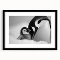 Framed wall art featuring a stylized penguin design from the "Animals of the Wild" collection, showcasing a black frame with a white mat, ideal for modern decor.