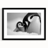Framed wall art featuring a stylized penguin design from the "Animals of the Wild" collection, showcasing a black frame with a white mat, ideal for modern decor.