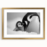 Framed wall art featuring a stylish penguin design on a gold mat, showcasing vibrant colors and modern aesthetics, perfect for enhancing home decor.