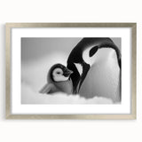 Framed wall art featuring a playful penguin design in a silver frame with a mat, perfect for adding a touch of whimsy to home decor. Ideal for animal lovers and children's rooms.