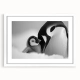 Framed wall art featuring a charming penguin design from the "Animals A Wild Life" collection, showcasing a white mat and a sleek frame, perfect for modern decor.