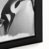 Close-up of a framed canvas wall art featuring a vibrant penguin design, showcasing detailed textures and colors, perfect for wildlife enthusiasts and home decor.