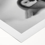 Colorful rolled canvas featuring a vibrant penguin design from the Animals a Wild Life collection, showcasing playful wildlife art ideal for modern decor.