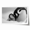 Penguin-themed wall art print showcasing vibrant colors and playful design, perfect for wildlife enthusiasts, packaged in a protective roll for easy display.