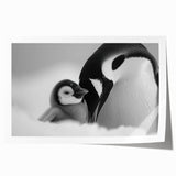 Penguin-themed wall art print showcasing vibrant colors and playful design, perfect for wildlife enthusiasts, packaged in a protective roll for easy display.