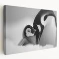Stretched canvas wall art featuring a detailed penguin design, showcasing vibrant colors and intricate textures, ideal for animal lovers and modern decor enthusiasts.